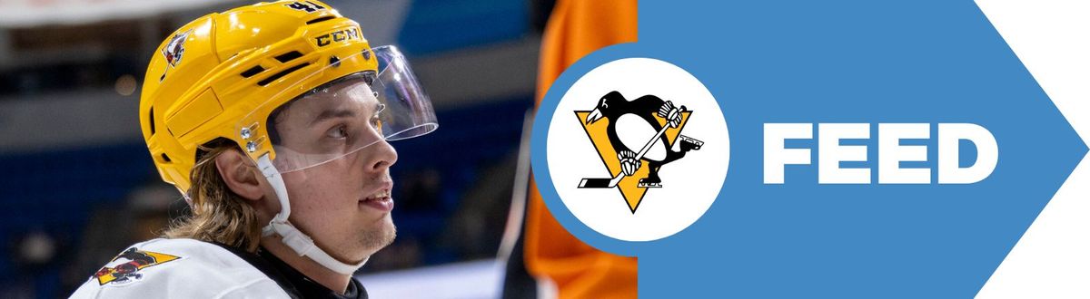 Ranking the top 10 prospects taken in Downtown (Penguins)